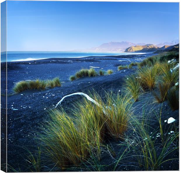 Beautiful Kekerengu Bay, New Zealand Canvas Print by Maggie McCall