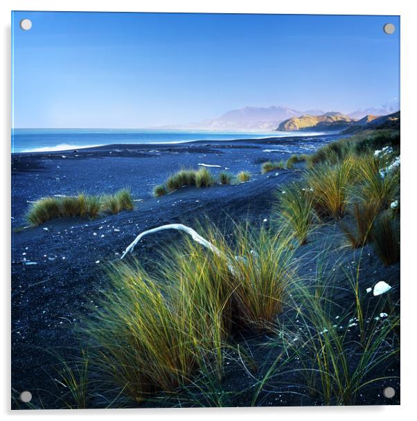 Beautiful Kekerengu Bay, New Zealand Acrylic by Maggie McCall