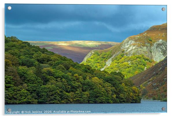 Garreg Ddu Reservoir Landscape Elan Valley Powys  Acrylic by Nick Jenkins