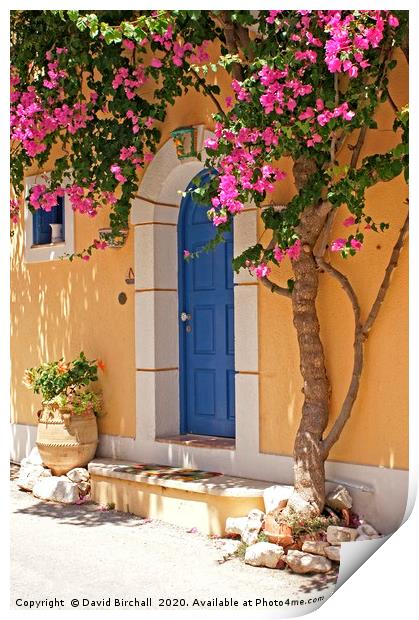 A Colourful Welcome Home in Assos. Print by David Birchall