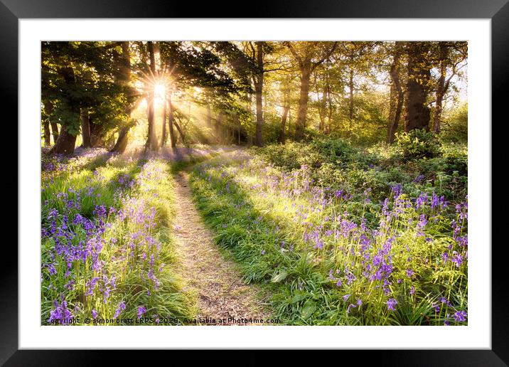 Sunrise over bluebell covered woodland in North No Framed Mounted Print by Simon Bratt LRPS