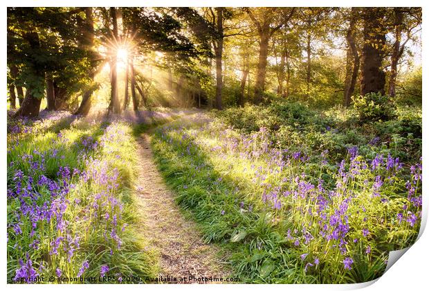 Sunrise over bluebell covered woodland in North No Print by Simon Bratt LRPS