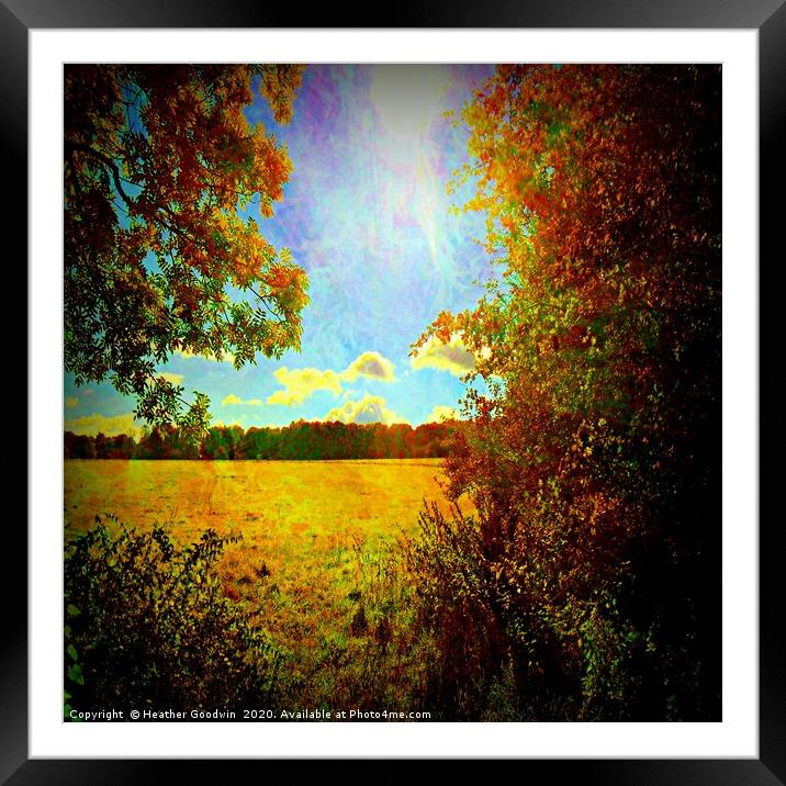 Sun Flare Framed Mounted Print by Heather Goodwin