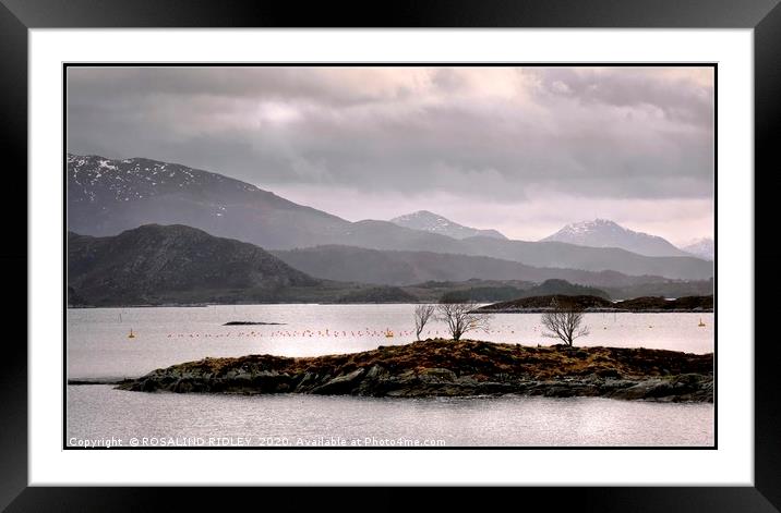 "Misty Norwegian morning" Framed Mounted Print by ROS RIDLEY