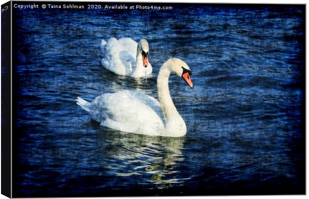 Swans on Blue Sea Grunge Style Canvas Print by Taina Sohlman