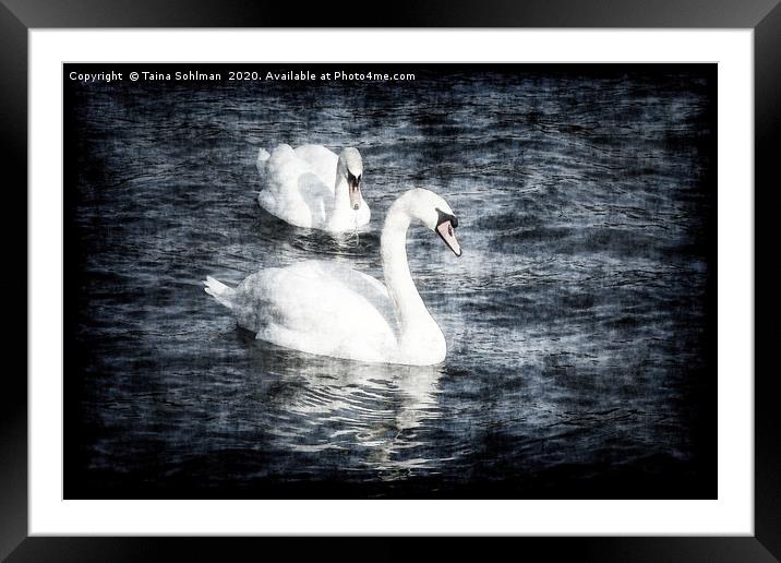 Dreamy Pair of Swans Framed Mounted Print by Taina Sohlman