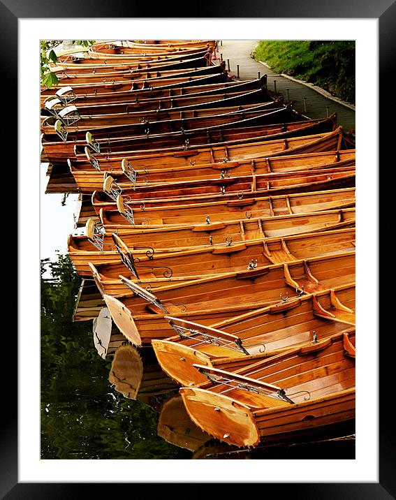 Dedham Row Boats Framed Mounted Print by Darren Burroughs