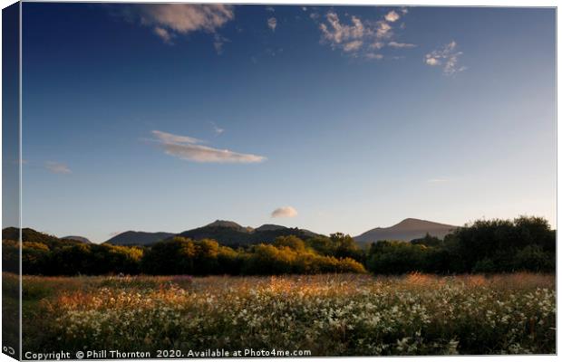 Summer meadows and evening skies, Lake District Canvas Print by Phill Thornton
