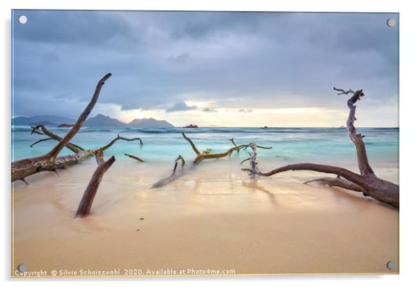 Clouds over a natural sandy beach on La Digue Acrylic by Silvio Schoisswohl