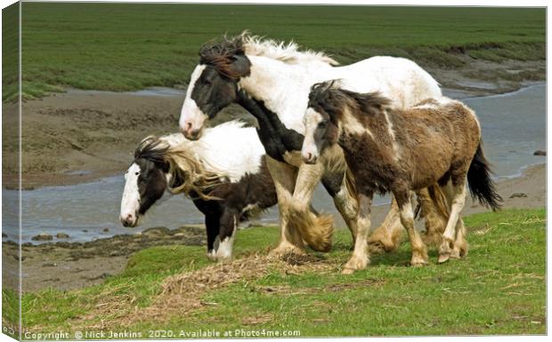 Heavy Horses at Penclawdd on Gower  Canvas Print by Nick Jenkins