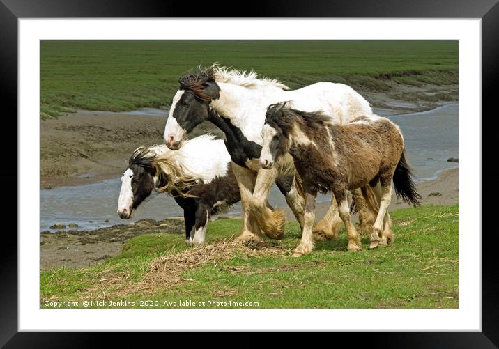 Heavy Horses at Penclawdd on Gower  Framed Mounted Print by Nick Jenkins