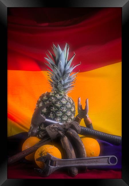 This still life has been made with a pine-apple, a Framed Print by Jose Manuel Espigares Garc