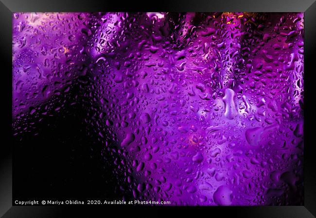 Purple drops Framed Print by Mariya Obidina