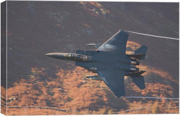 F15 on the Mach Loop Canvas Print by Rory Trappe