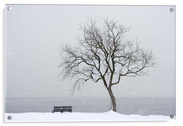 Winter tree Acrylic by Richard Newton