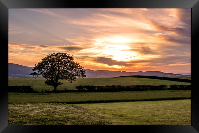 Welsh sunset and lone tree Framed Print by Jonathan Thirkell
