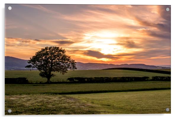 Welsh sunset and lone tree Acrylic by Jonathan Thirkell