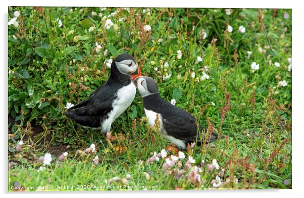 Puffins on a cliff Skomer Island Acrylic by Nick Jenkins