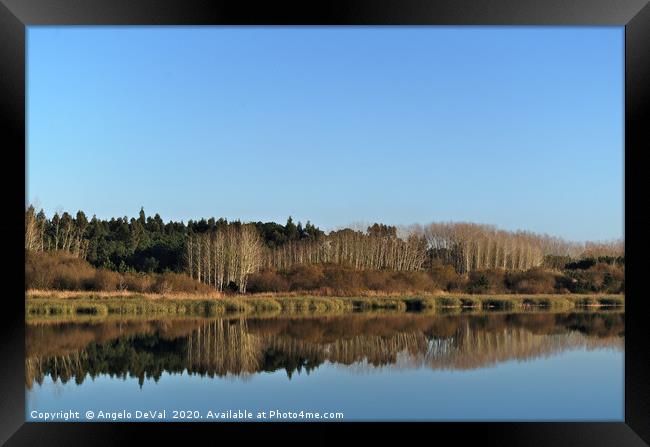 Water reflections in Ervedeira Lake Framed Print by Angelo DeVal