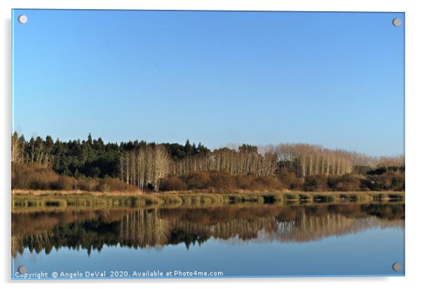 Water reflections in Ervedeira Lake Acrylic by Angelo DeVal