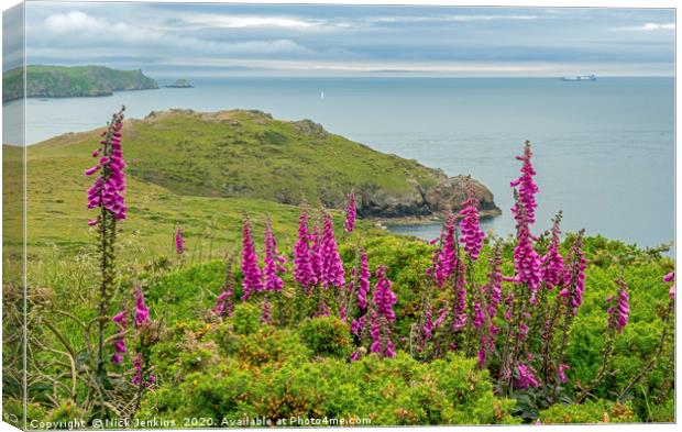 Pembrokeshire Coast at Deer Park with Foxgloves Canvas Print by Nick Jenkins