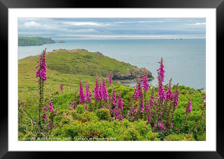 Pembrokeshire Coast at Deer Park with Foxgloves Framed Mounted Print by Nick Jenkins