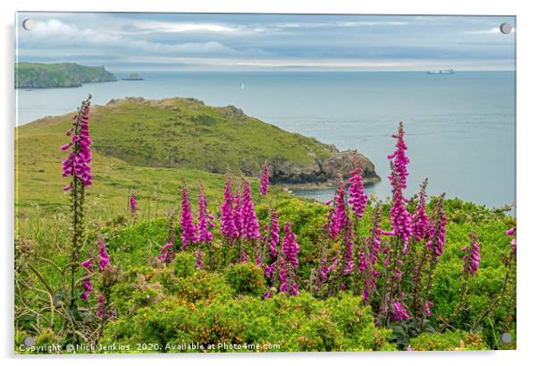 Pembrokeshire Coast at Deer Park with Foxgloves Acrylic by Nick Jenkins