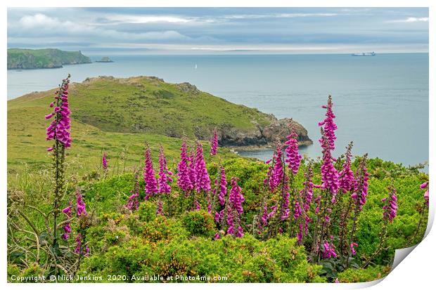 Pembrokeshire Coast at Deer Park with Foxgloves Print by Nick Jenkins