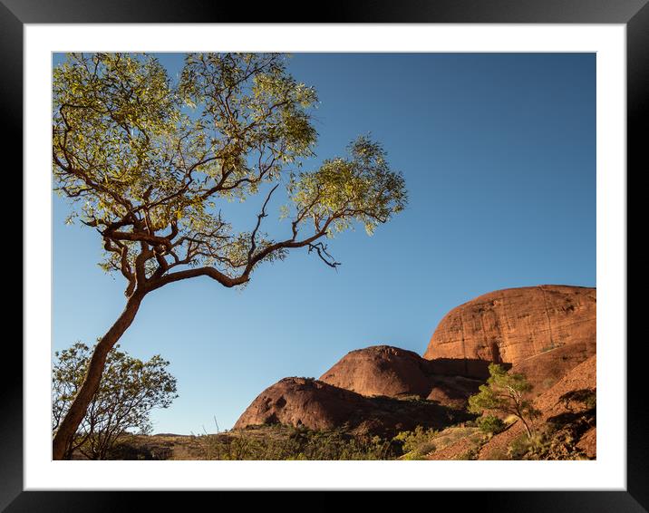 Valley of the Wind, Kata Tjuta in the morning sun  Framed Mounted Print by Sophie Shoults