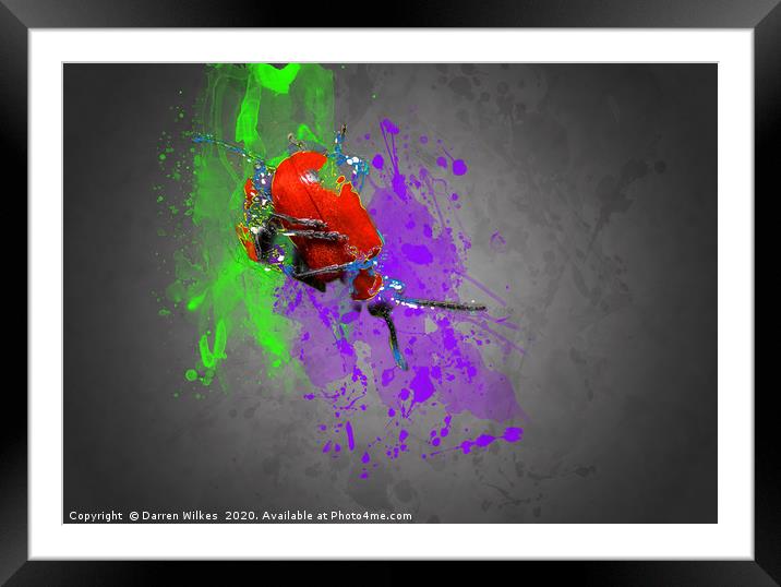 Vibrant Lilly Beetle A Modern Work of Art Framed Mounted Print by Darren Wilkes