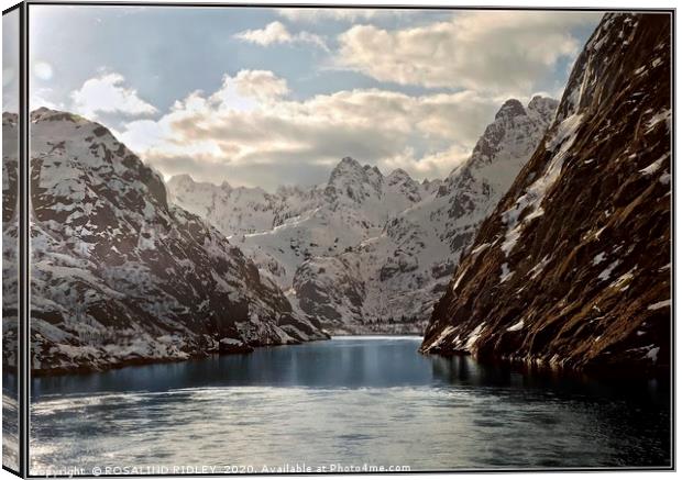 "Heading to Trollfjord" Canvas Print by ROS RIDLEY