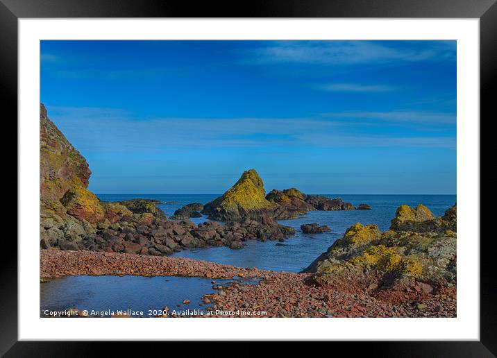 Lichen on the rocks 2 Framed Mounted Print by Angela Wallace