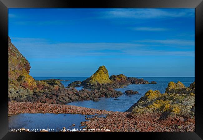 Lichen on the rocks 2 Framed Print by Angela Wallace