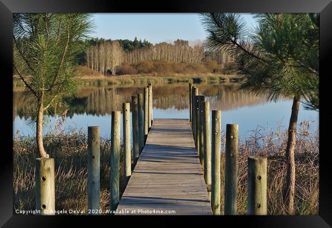 Walkway to Ervedeira Lake Framed Print by Angelo DeVal