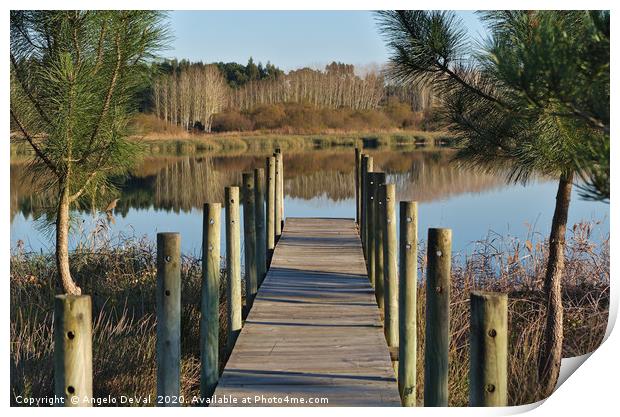 Walkway to Ervedeira Lake Print by Angelo DeVal