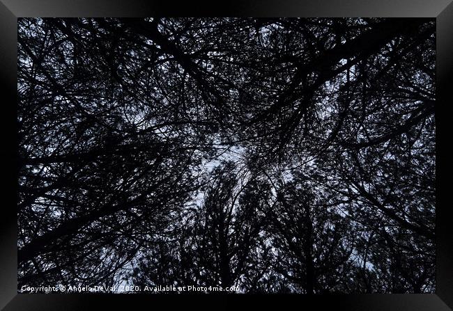 Tree Ceiling Silhouettes Framed Print by Angelo DeVal