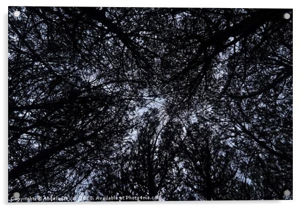 Tree Ceiling Silhouettes Acrylic by Angelo DeVal