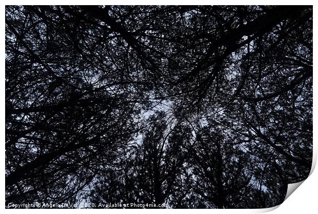 Tree Ceiling Silhouettes Print by Angelo DeVal