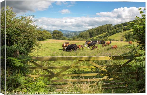 Upland Farming Central Brecon Beacons in summer Canvas Print by Nick Jenkins