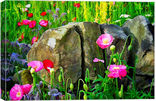 Poppies against a wall. Canvas Print by Colin Metcalf