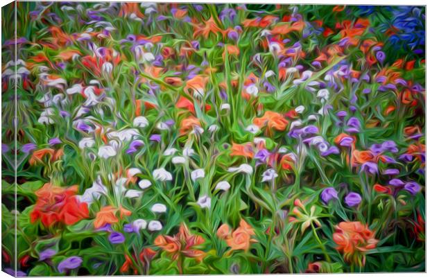 Summer Medley Canvas Print by Colin Metcalf