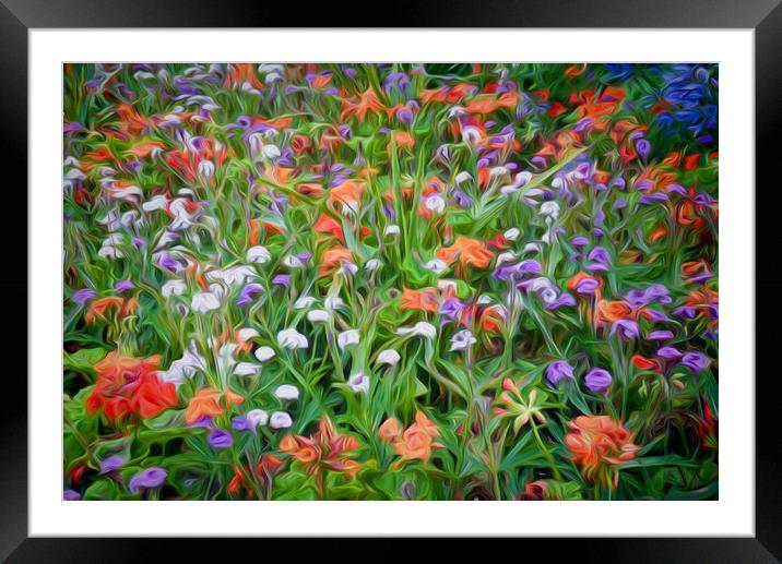 Summer Medley Framed Mounted Print by Colin Metcalf