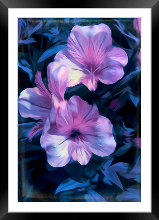 Pink and Blue Framed Mounted Print by Colin Metcalf