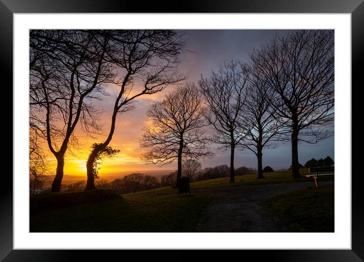 Bare trees and a sunset Framed Mounted Print by Leighton Collins