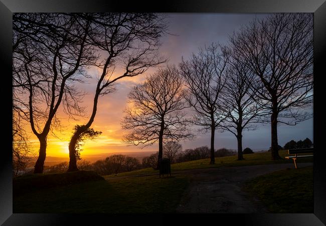 Bare trees and a sunset Framed Print by Leighton Collins