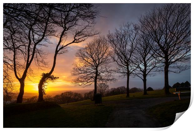 Bare trees and a sunset Print by Leighton Collins