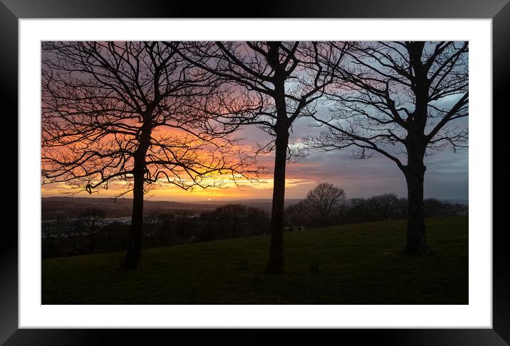 Winter trees and a sunset Framed Mounted Print by Leighton Collins