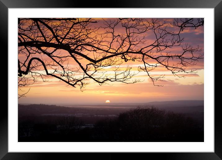 Winter trees and a sunset Framed Mounted Print by Leighton Collins