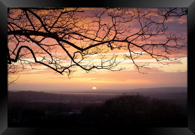 Winter trees and a sunset Framed Print by Leighton Collins