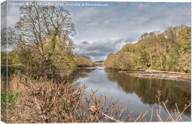 River Tees at Wycliffe, Teesdale, in Early Spring Canvas Print by Richard Laidler